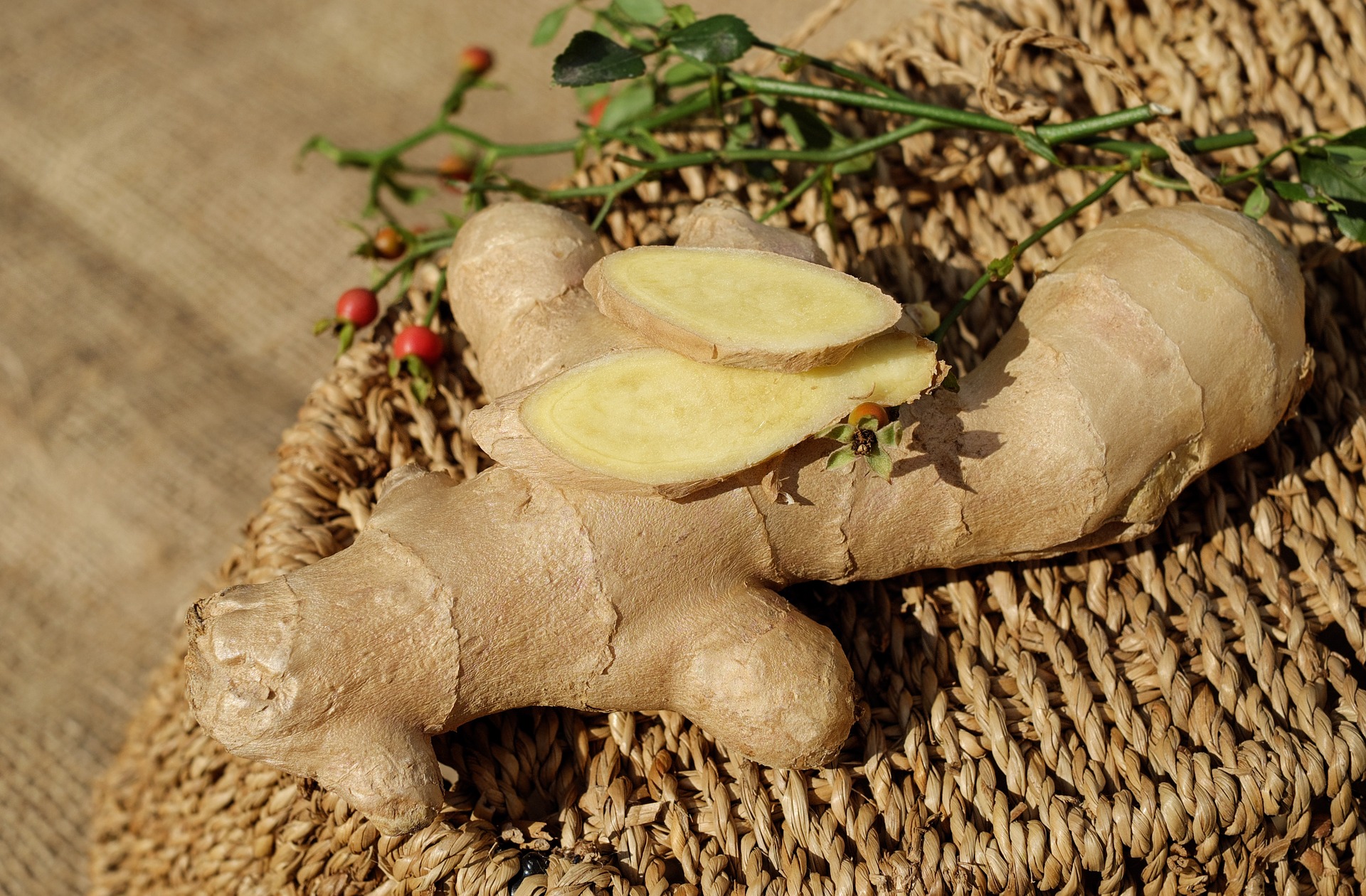 ginger digestion